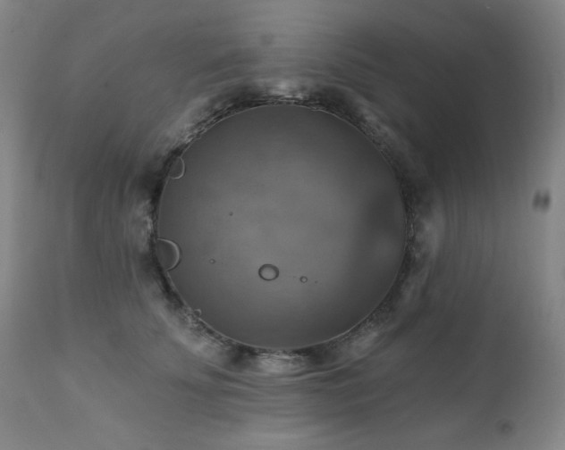 X0000112030707200908031436