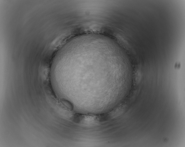 X0000112030709200908031436