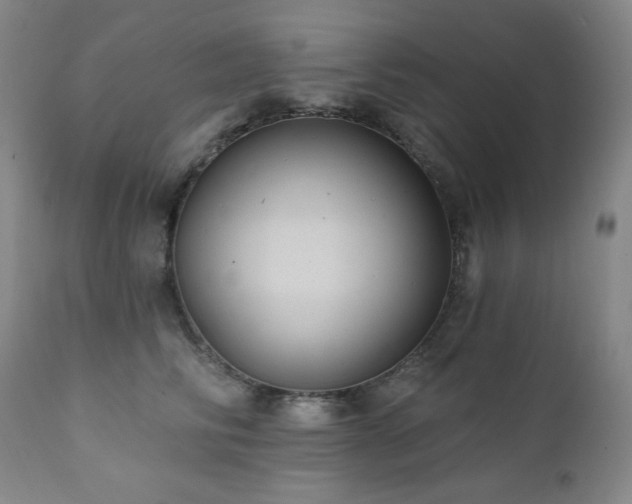 X0000112030710200908031436