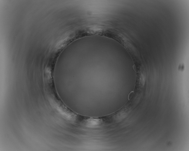 X0000112030711200908031436