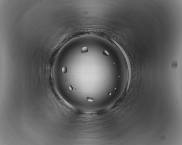 X0000112030712200908031436