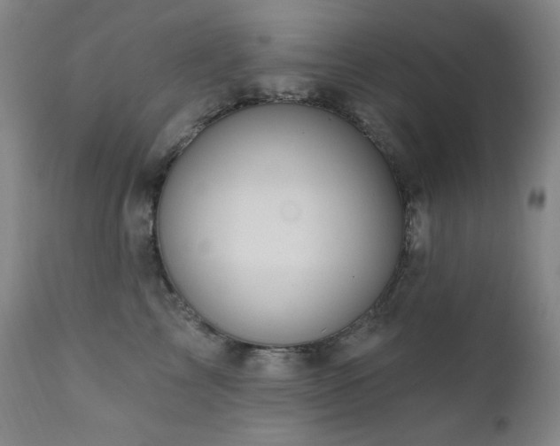 X0000112030713200908031436