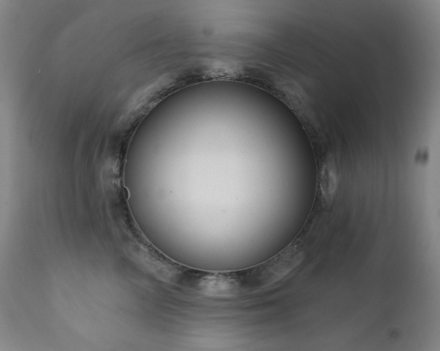 X0000112030714200908031436