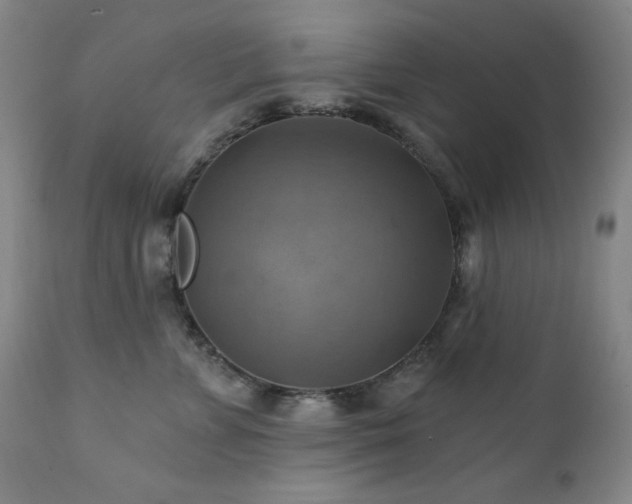 X0000112030715200908031436