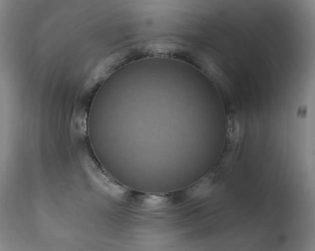 X0000112030718200908031436