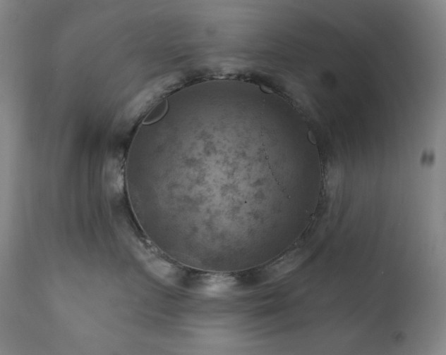 X0000112030719200908031436