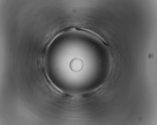 X0000112030720200908031436