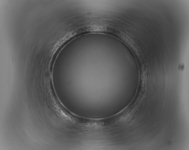 X0000112030721200908031435
