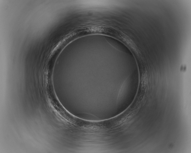 X0000112030722200908031435