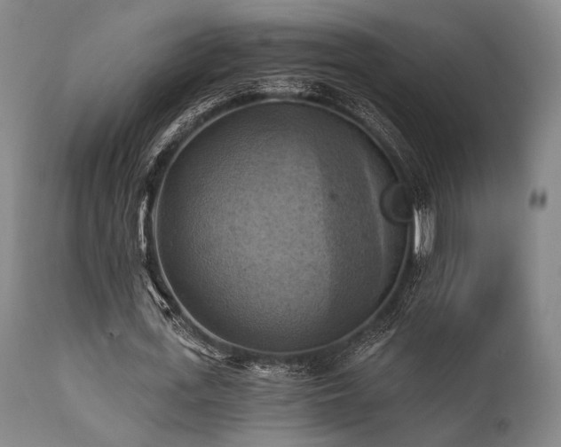 X0000112030723200908031435