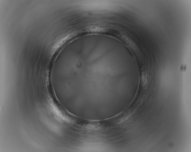 X0000112030725200908031435