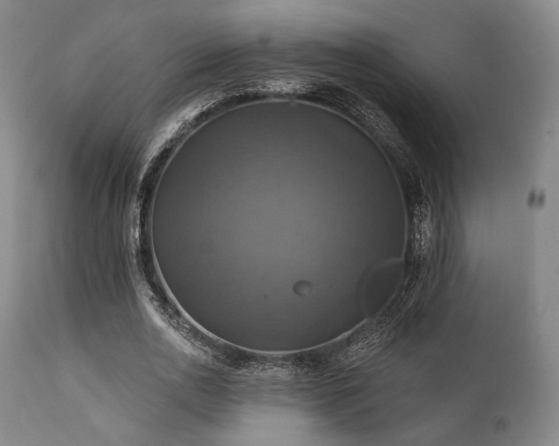 X0000112030726200908031435