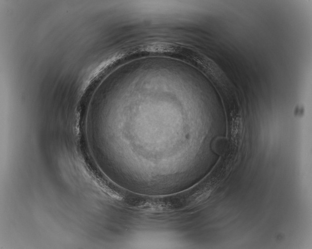 X0000112030727200908031435