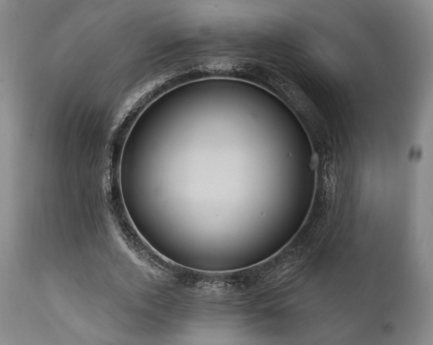 X0000112030728200908031435