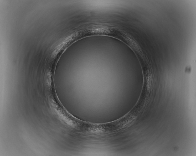 X0000112030729200908031435