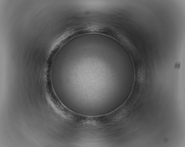 X0000112030730200908031435