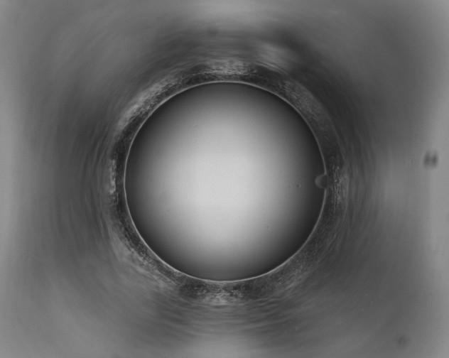 X0000112030731200908031435