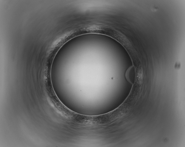X0000112030732200908031435