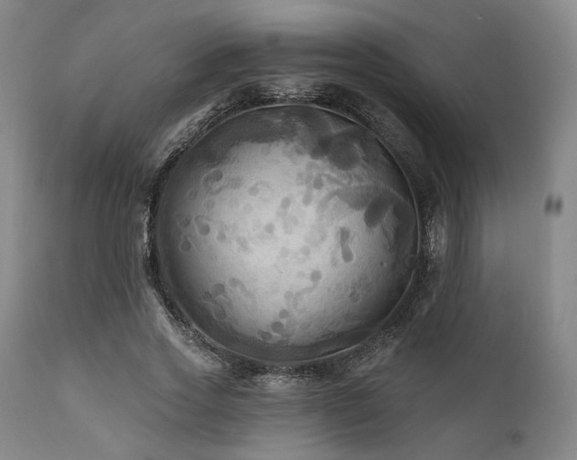 X0000112030733200908031435