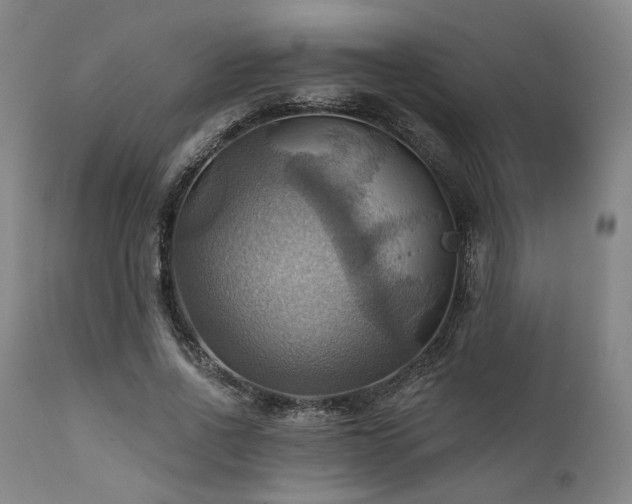 X0000112030734200908031435