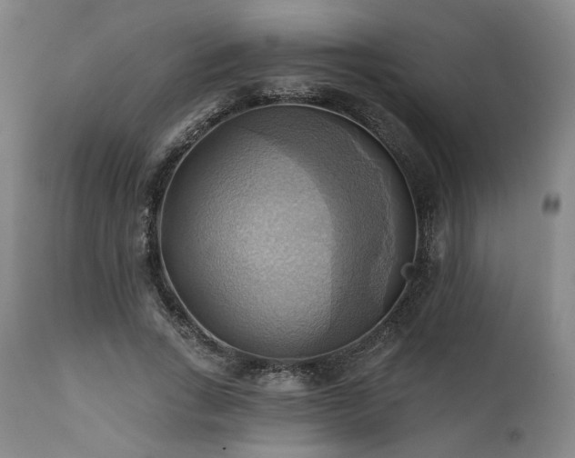 X0000112030735200908031435