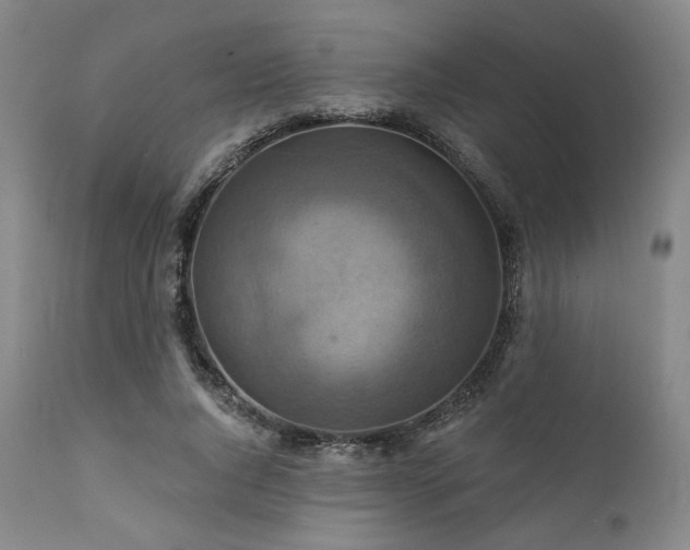 X0000112030736200908031435