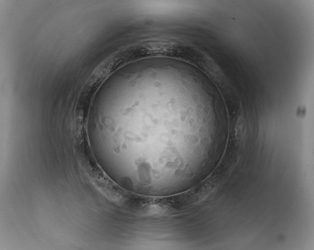 X0000112030737200908031435