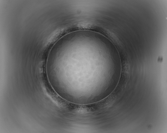 X0000112030738200908031435
