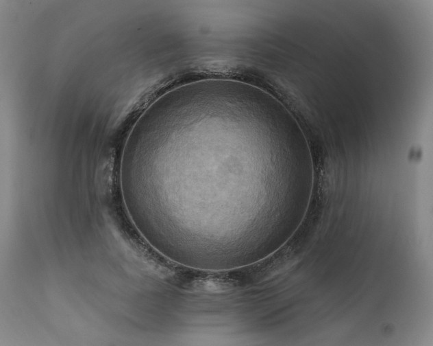 X0000112030739200908031435