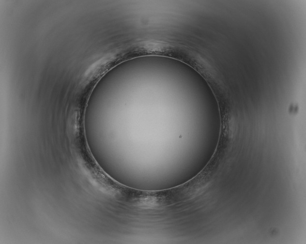 X0000112030740200908031435