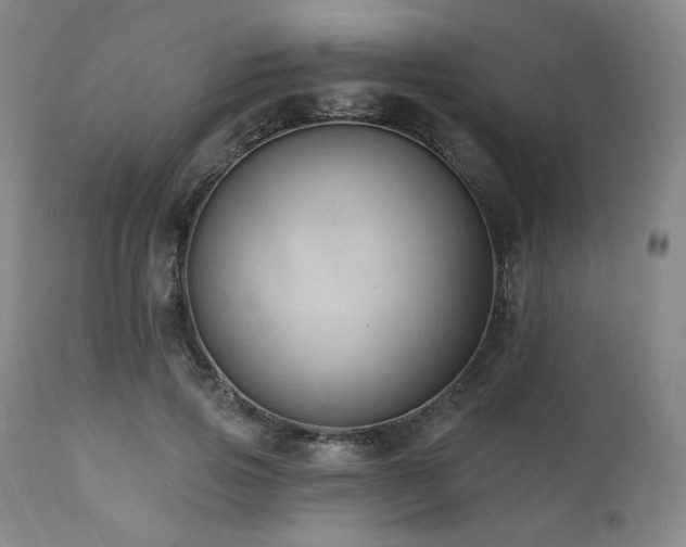 X0000112030741200908031435