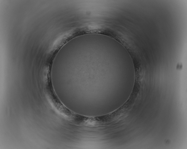 X0000112030742200908031435