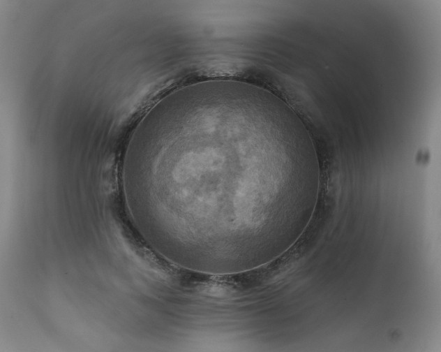 X0000112030743200908031435