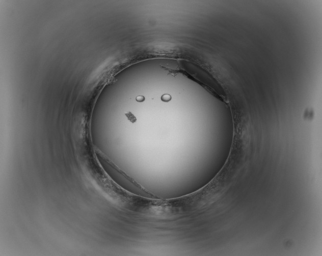 X0000112030744200908031435
