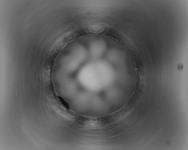 X0000112030745200908031435