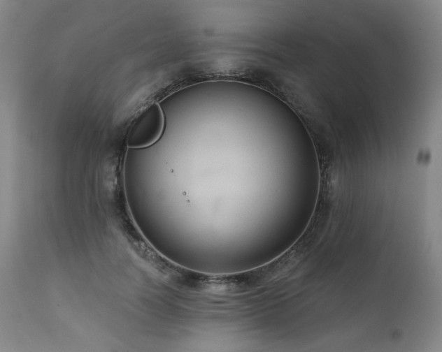 X0000112030746200908031435