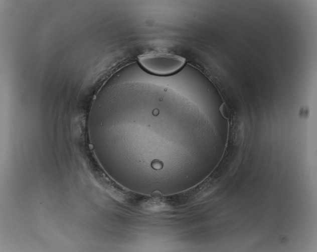 X0000112030747200908031435