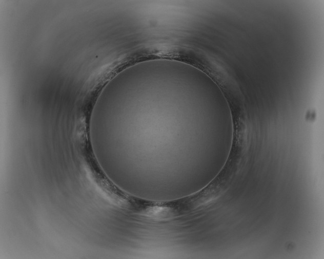 X0000112030748200908031435