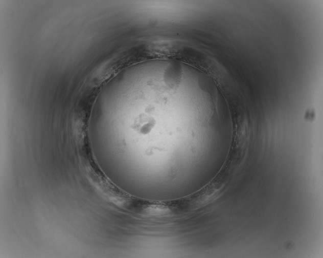 X0000112030749200908031435