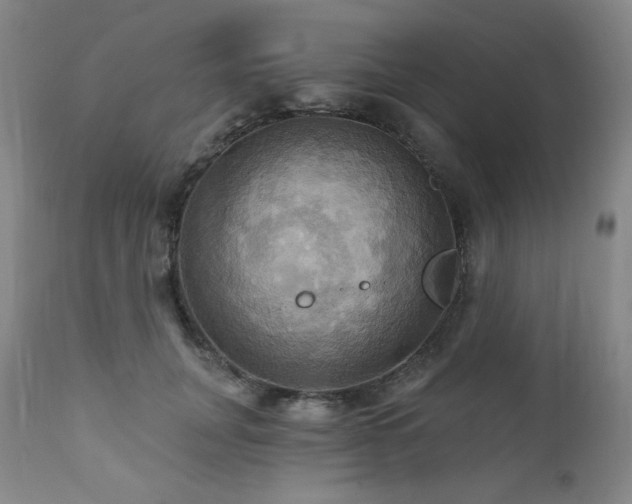 X0000112030751200908031435