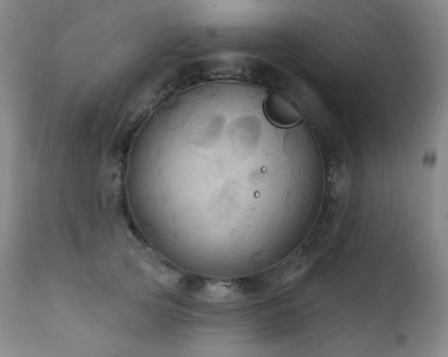 X0000112030753200908031436