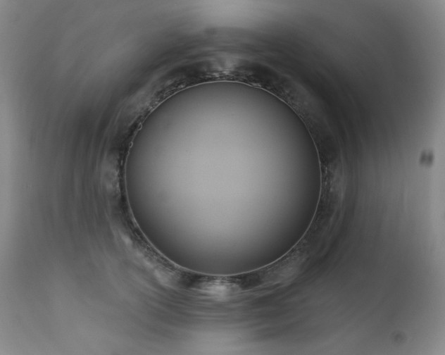 X0000112030754200908031436