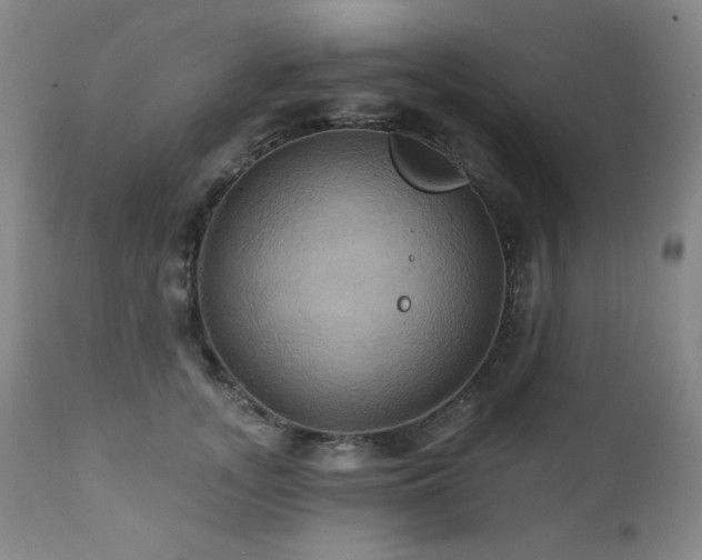 X0000112030755200908031436