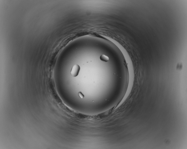 X0000112030756200908031436