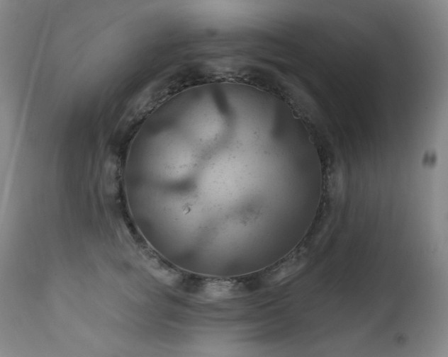 X0000112030757200908031436