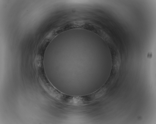 X0000112030758200908031436