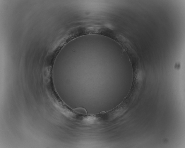X0000112030759200908031436