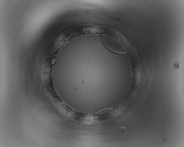 X0000112030760200908031436