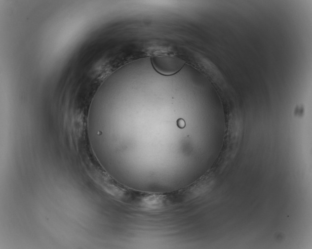 X0000112030761200908031436