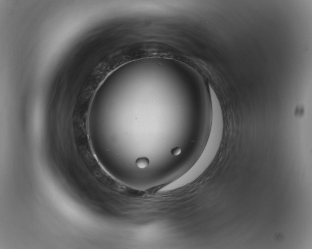 X0000112030764200908031436